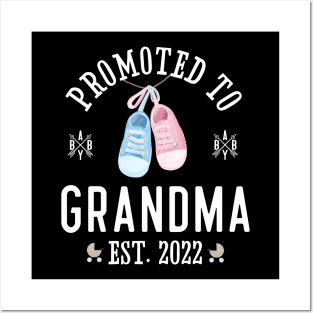 Promoted to Grandma Est. 2022 Posters and Art